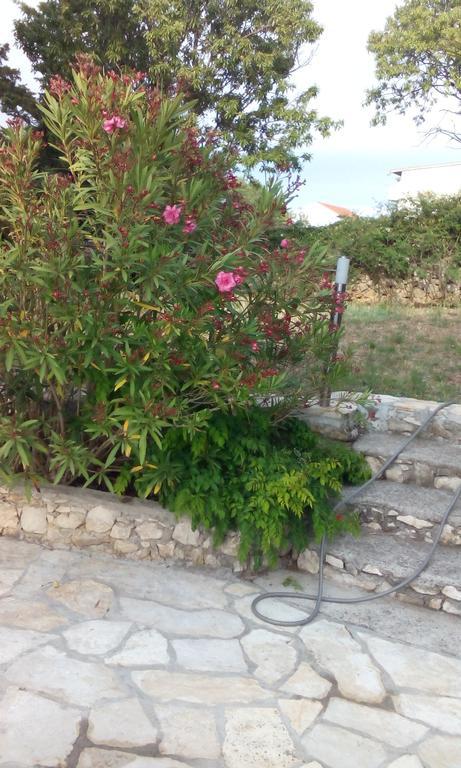 Apartment Tuja Jadrtovac 部屋 写真